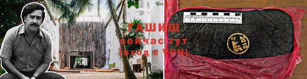 гидра Алексин