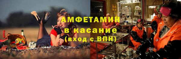гидра Алексин